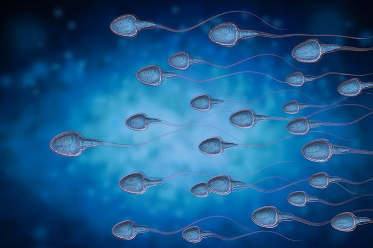 Acupuncture for Male Infertility Miami FL