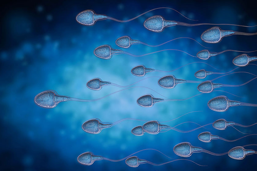 Acupuncture Male Infertility in Miami - MiamiAcupunctureClinic.com